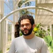 Insegnante di inglese per tutti i livelli, dalle basi fino alla conversazione fluente